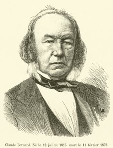 Claude Bernard, Born July 12, 1813, Died February 11, 1878 by French School